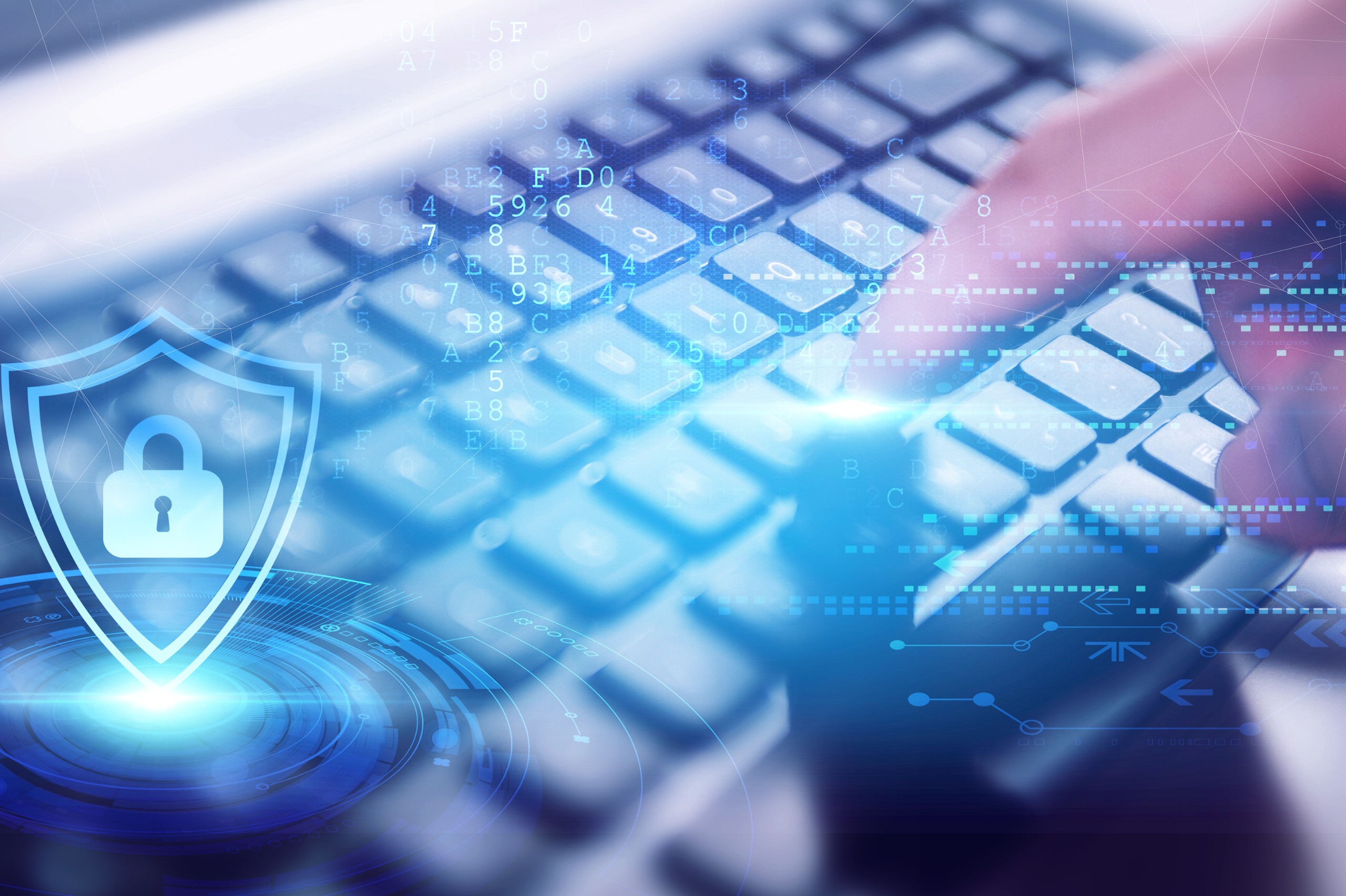 1641432826196422.jpeg 1641432826196422.jpeg